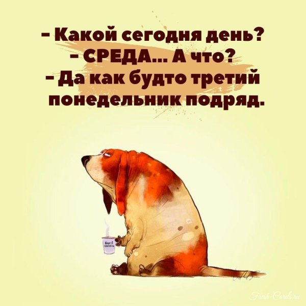 веселые высказывания