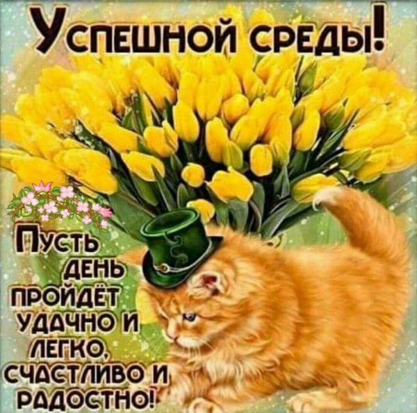 поздравление со средой