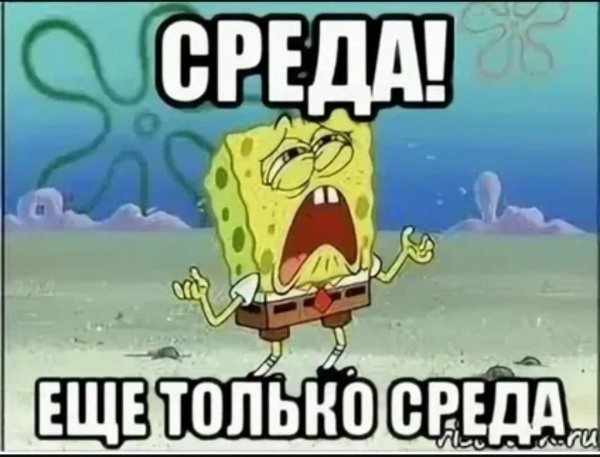 мем спанч боб
