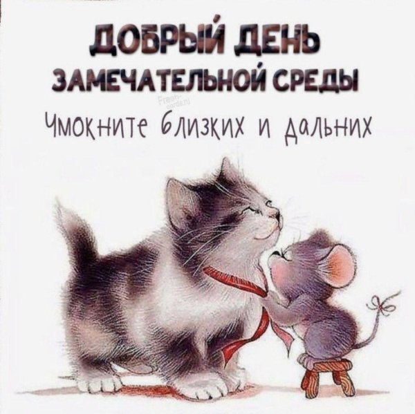 доброго утра среды прикольные
