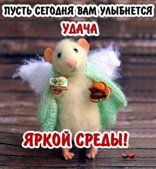 доброе утро мышонок
