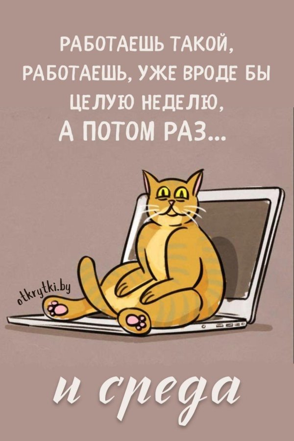 юмор о работе