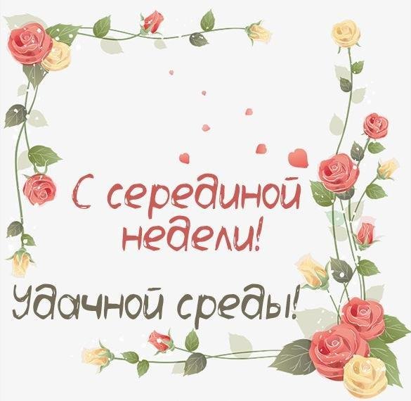 Среда