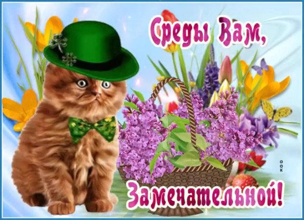 открытки прекрасной среды