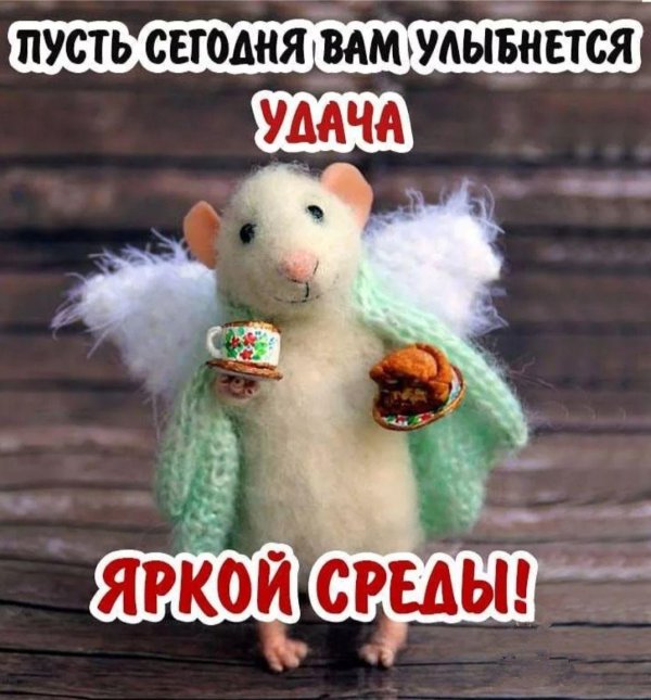 доброго утра среды прикольные