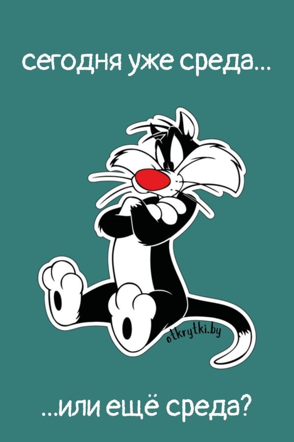 кот сильвестр