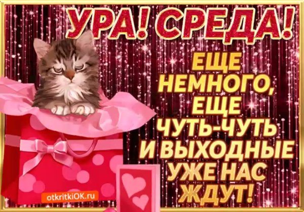 поздравление со средой