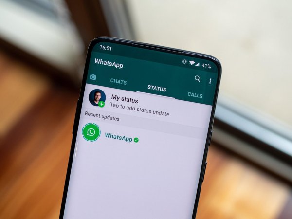 сообщение whatsapp
