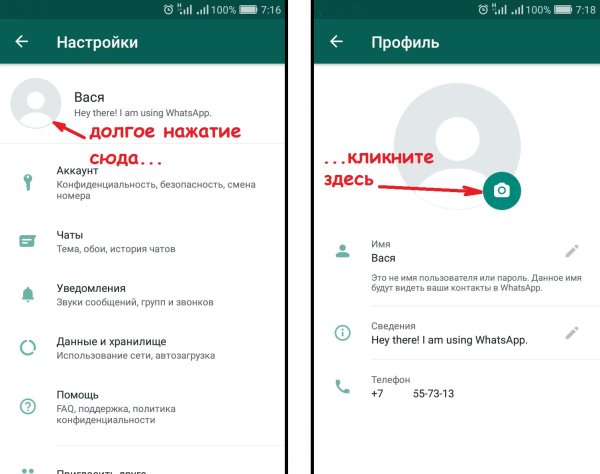сведения whatsapp