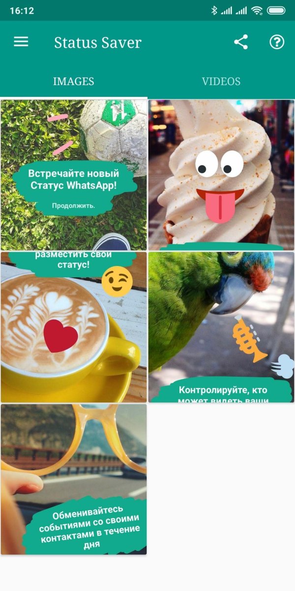 прикольные статусы для ватсапа