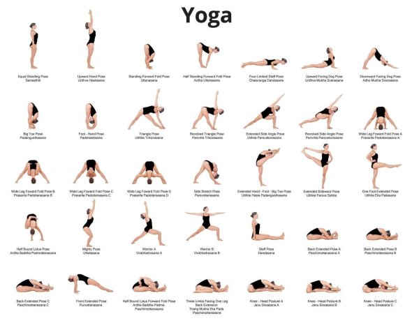 хатхайога комплекс асан