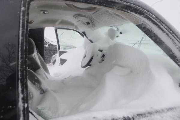 снежный плен