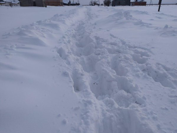 через сугробы