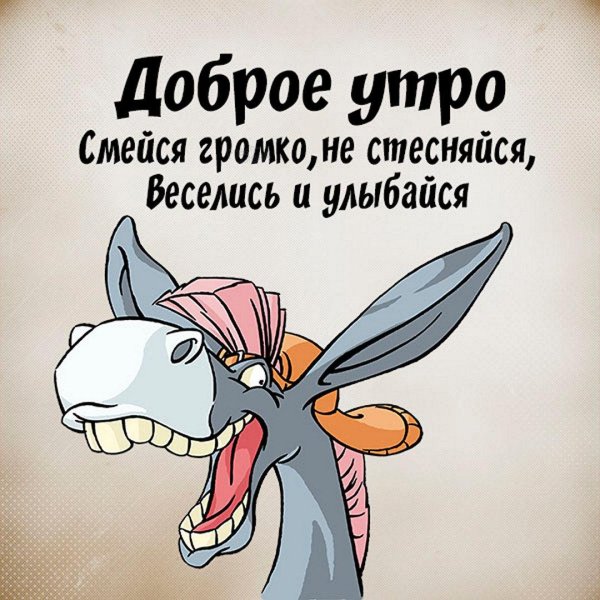 доброго утра смешные