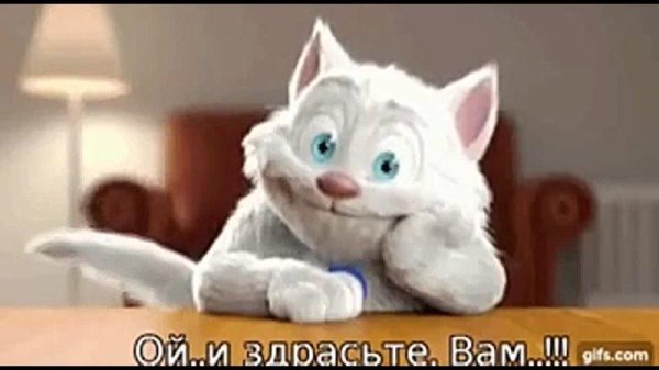 кот веселый