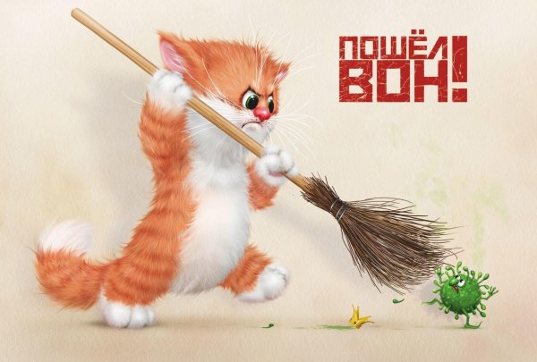 поганая метла