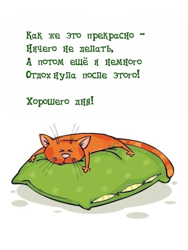 веселые высказывания