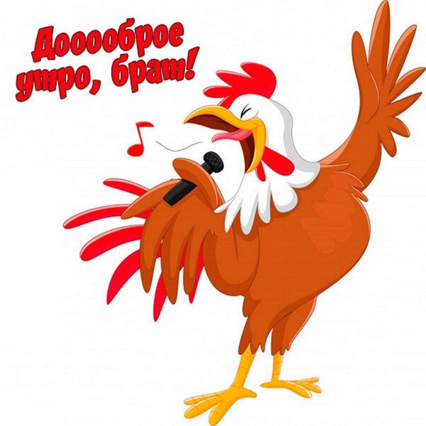 петушок мультяшный