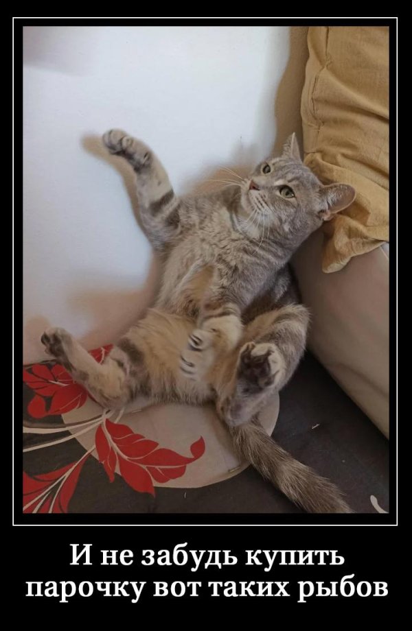 новости прикол