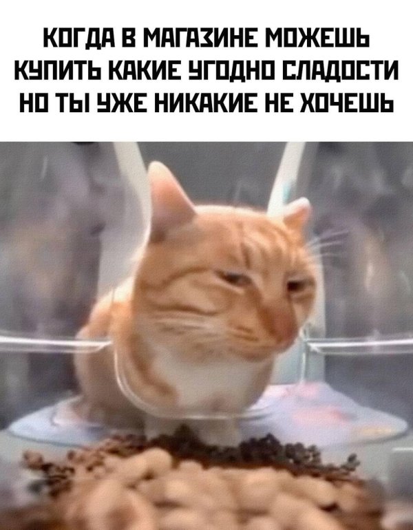 смешной мем