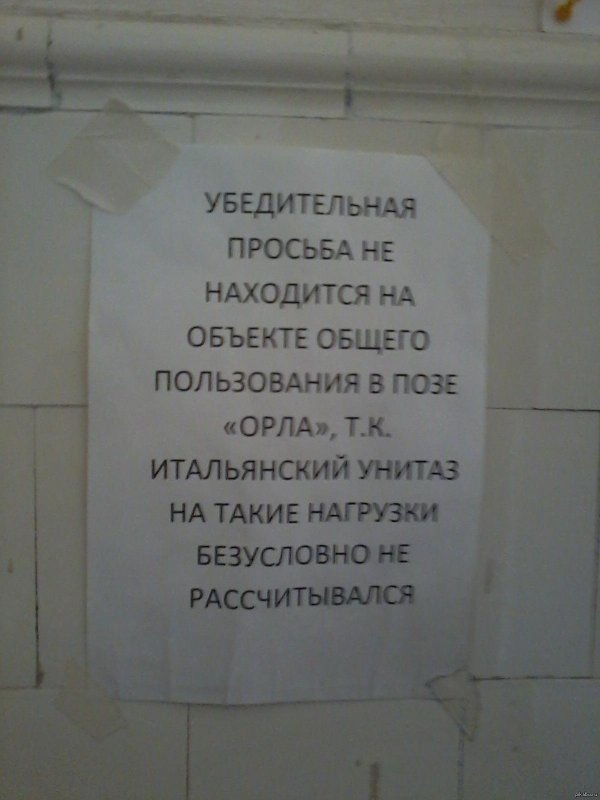 надписи в туалет
