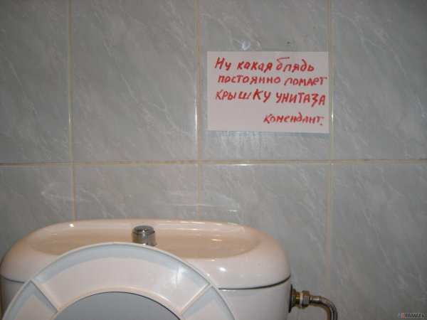 приколы для туалета