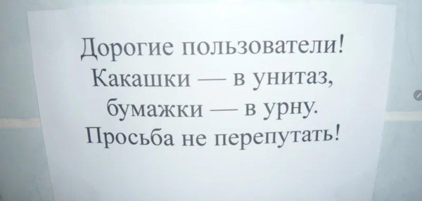 надписи в туалет