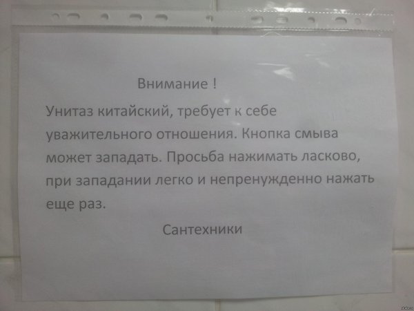 объявление в женский туалет о соблюдении чистоты