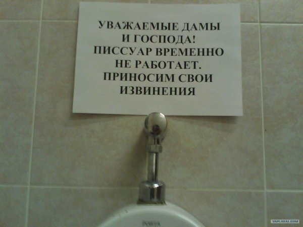 надписи в туалете прикольные