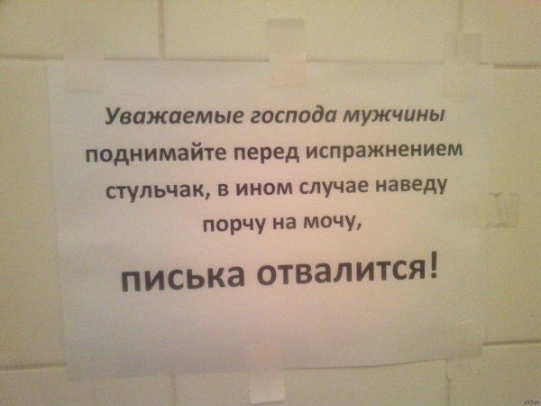надписи в туалет