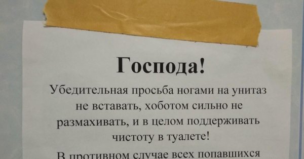 объявление в женский туалет о соблюдении чистоты
