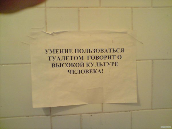 надписи для туалета