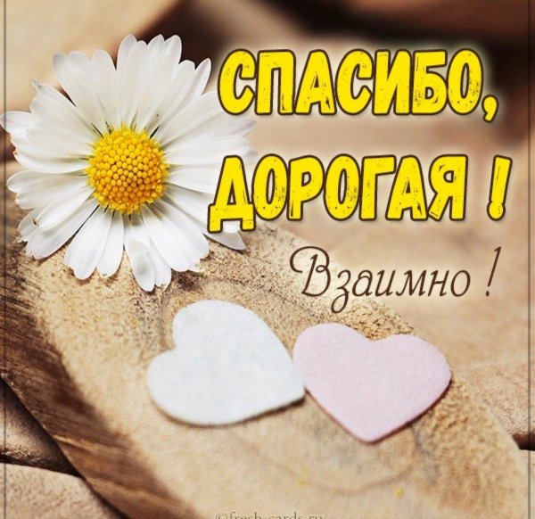 с ромашками