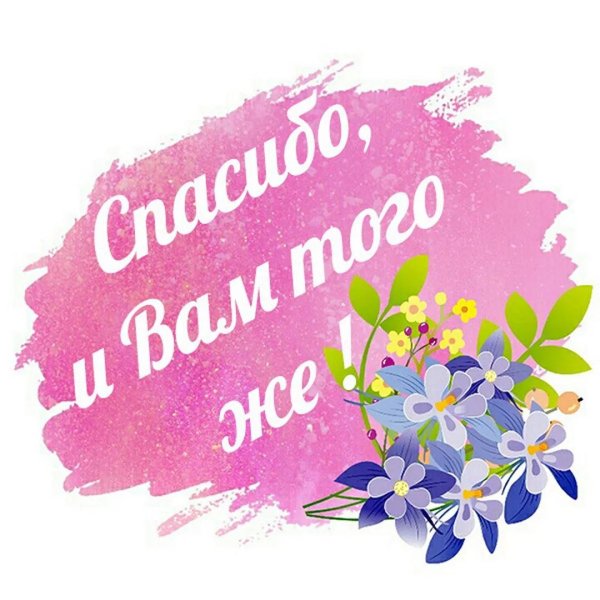 спасибо незабудки