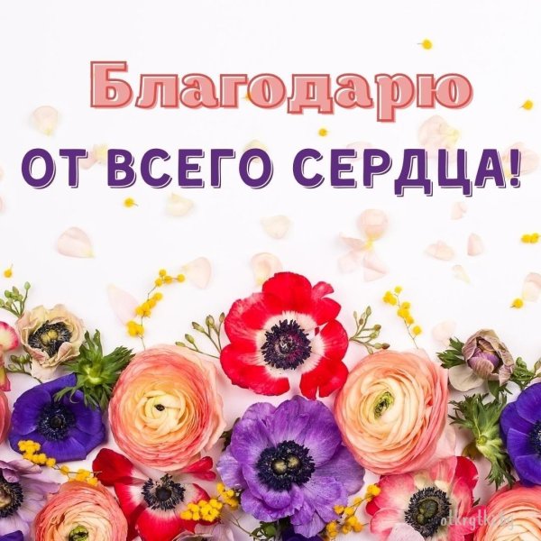 огромная благодарность
