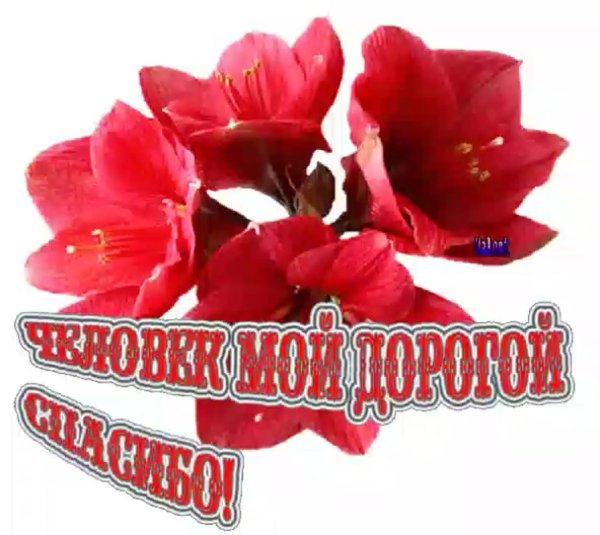 спасибо милая