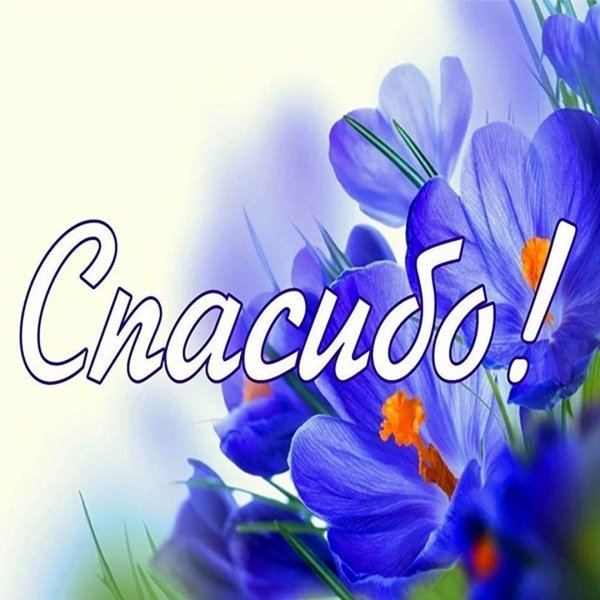 открытка с благодарностью