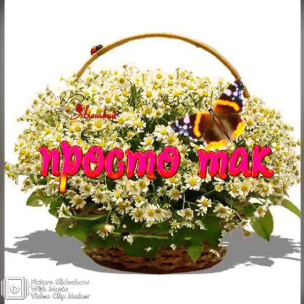 букет ромашек