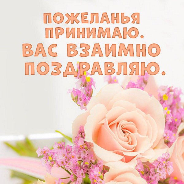 нежный цветок