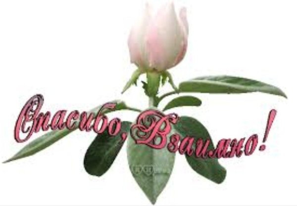 открытки красивые спасибо