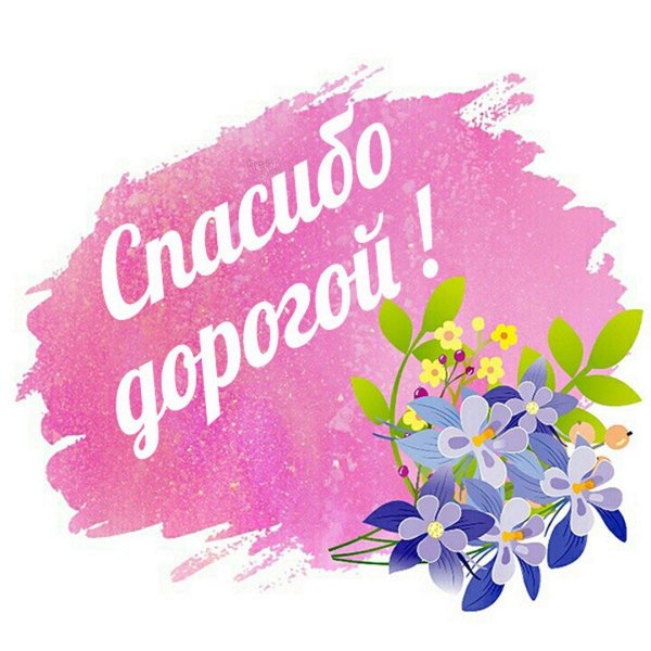 спасибо незабудки