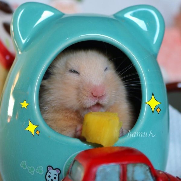 джон гарик хомяк