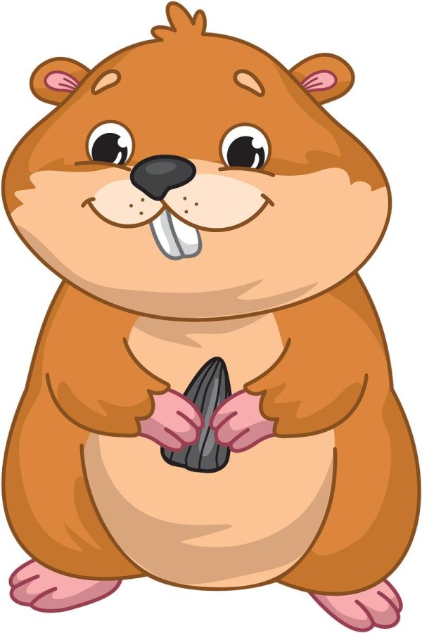 мультяшные хомяки