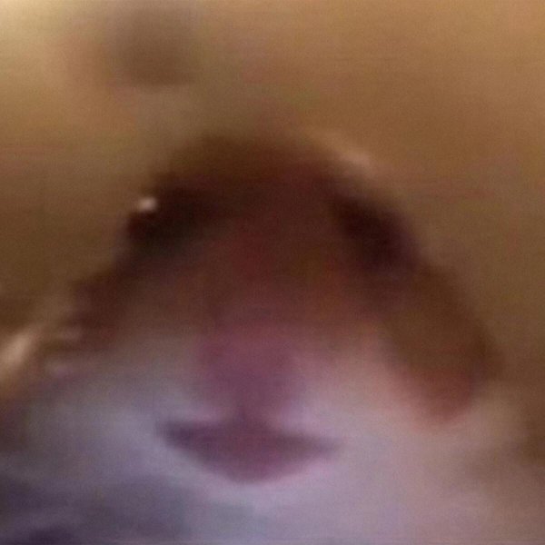 упоротый хомяк