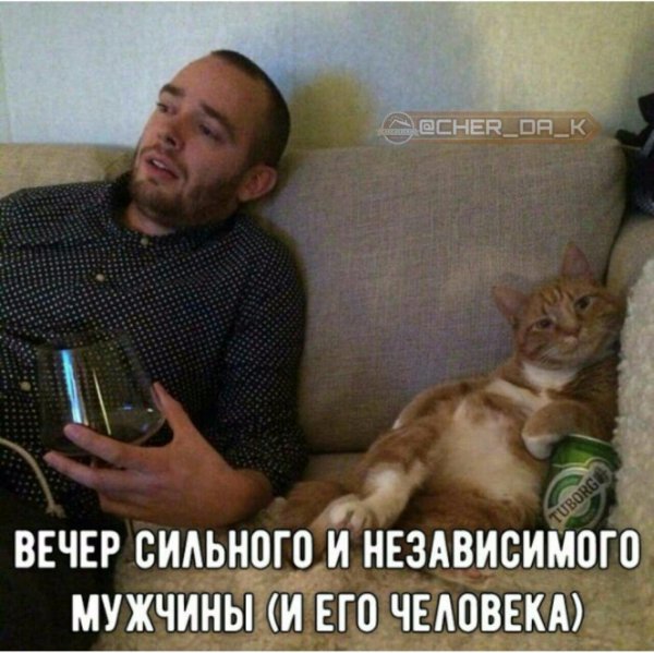 сильный независимый мужчина прикол