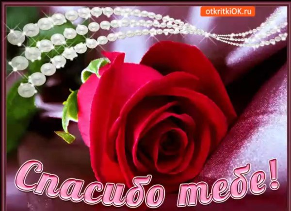 открытки красивые спасибо