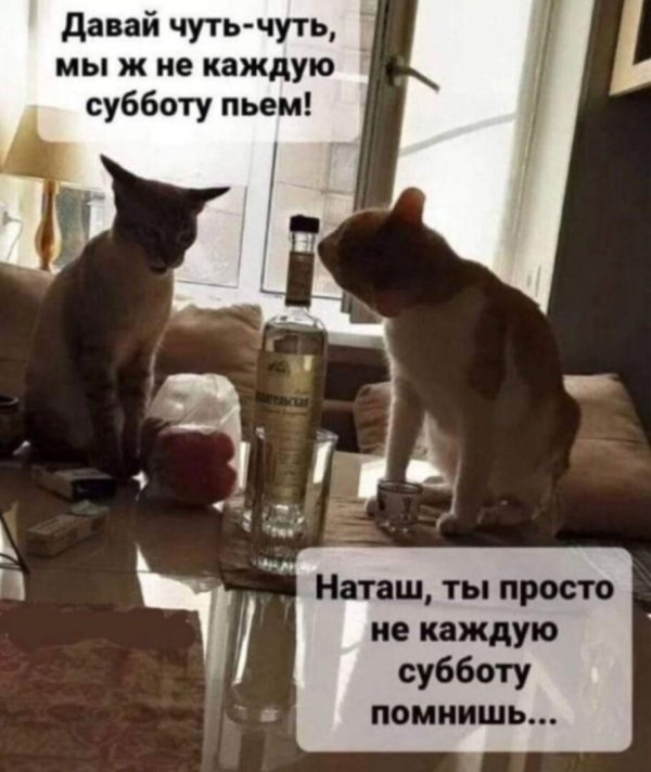 юмор приколы