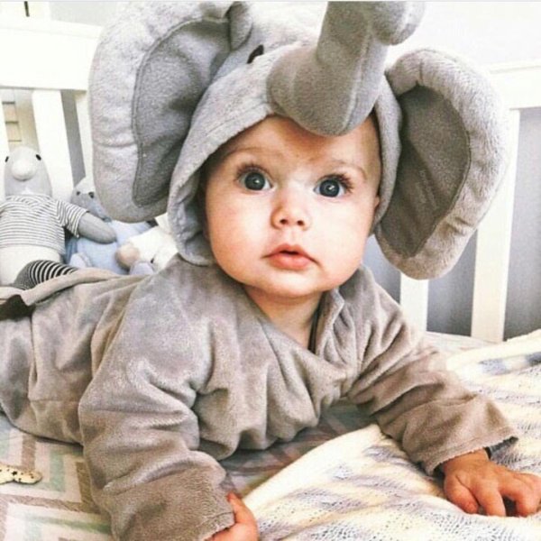 милые малыши