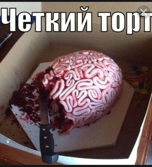 мозг настоящий