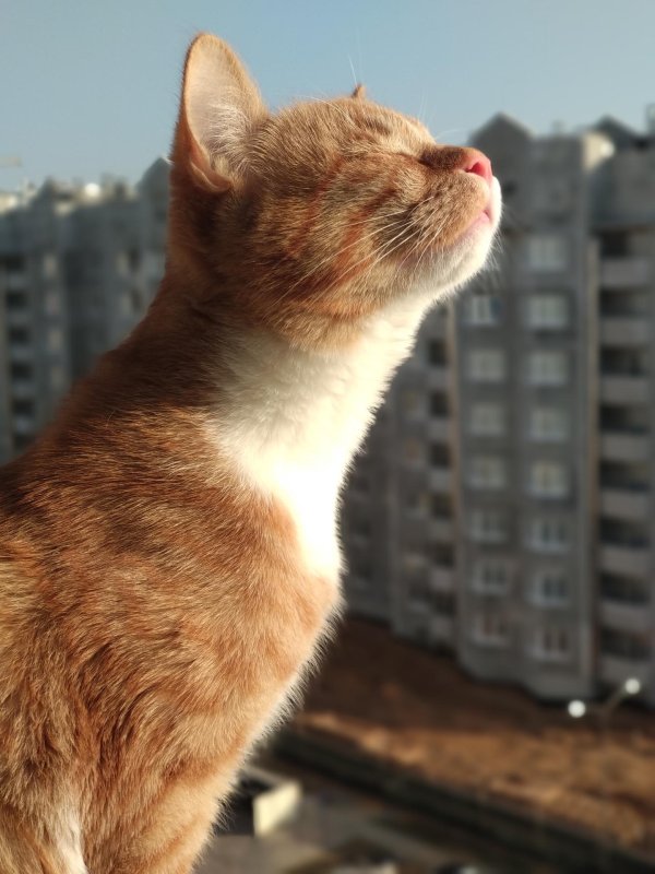 Запахло весной